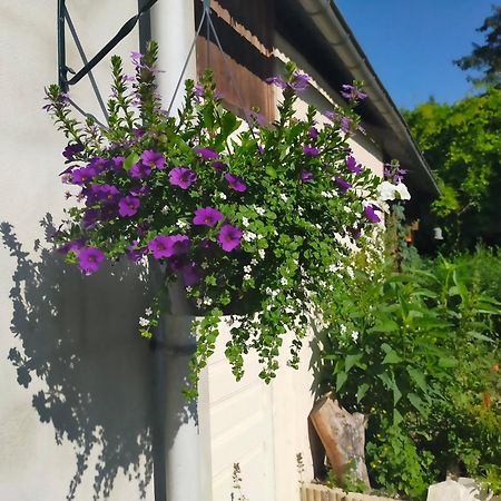Ferienwohnung Logis51 Ville-sur-Tourbe Exterior foto