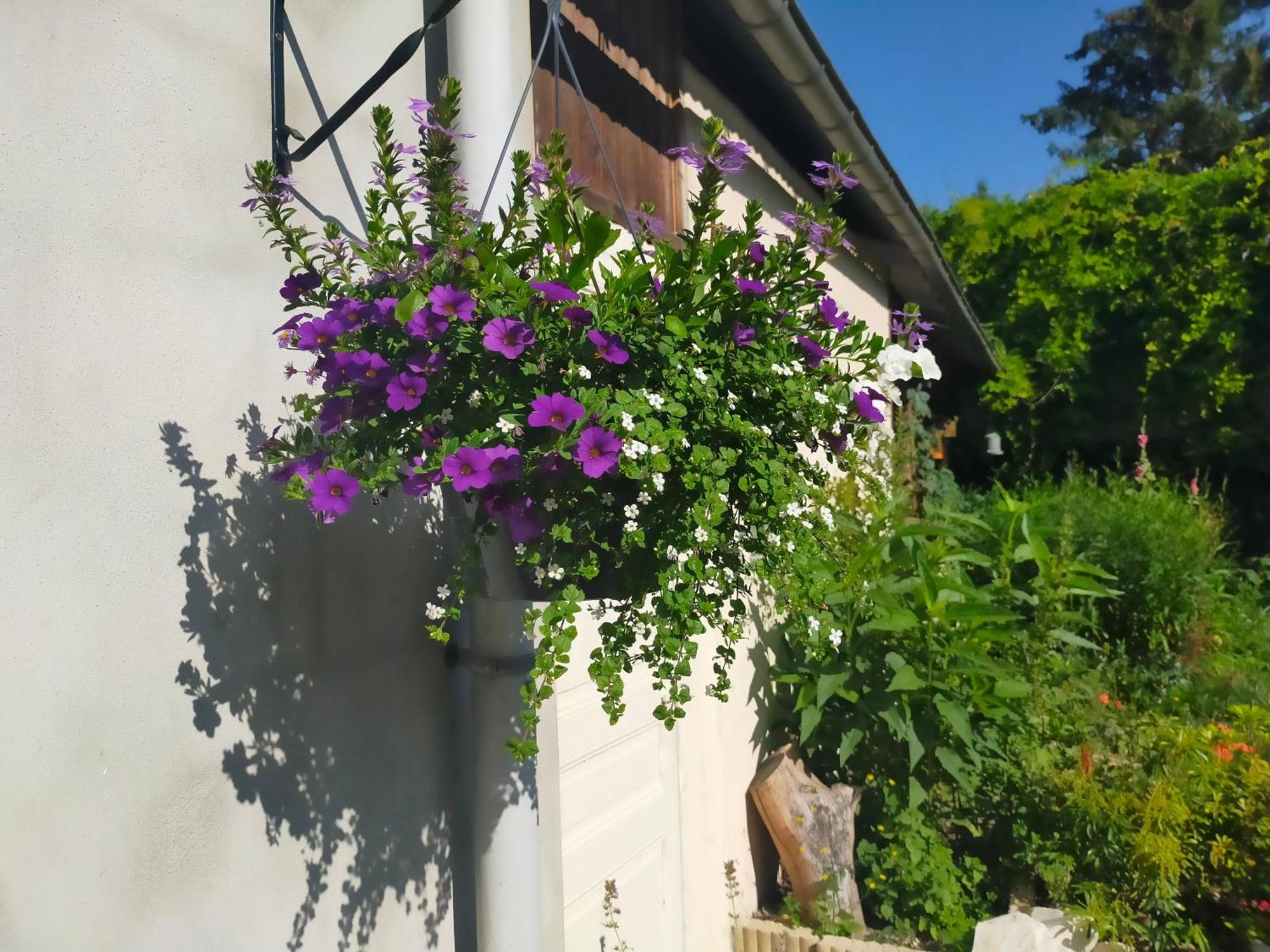 Ferienwohnung Logis51 Ville-sur-Tourbe Exterior foto