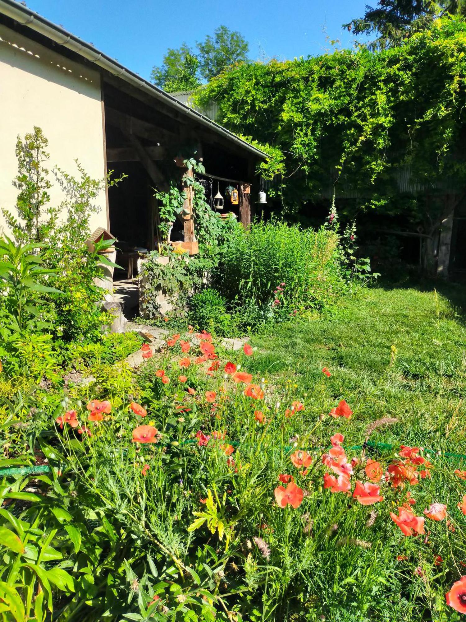 Ferienwohnung Logis51 Ville-sur-Tourbe Exterior foto