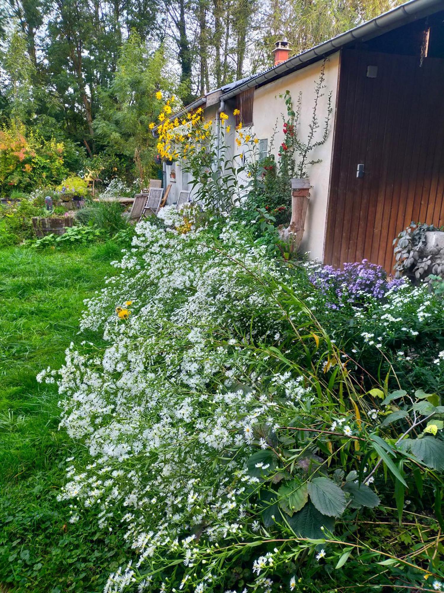 Ferienwohnung Logis51 Ville-sur-Tourbe Exterior foto