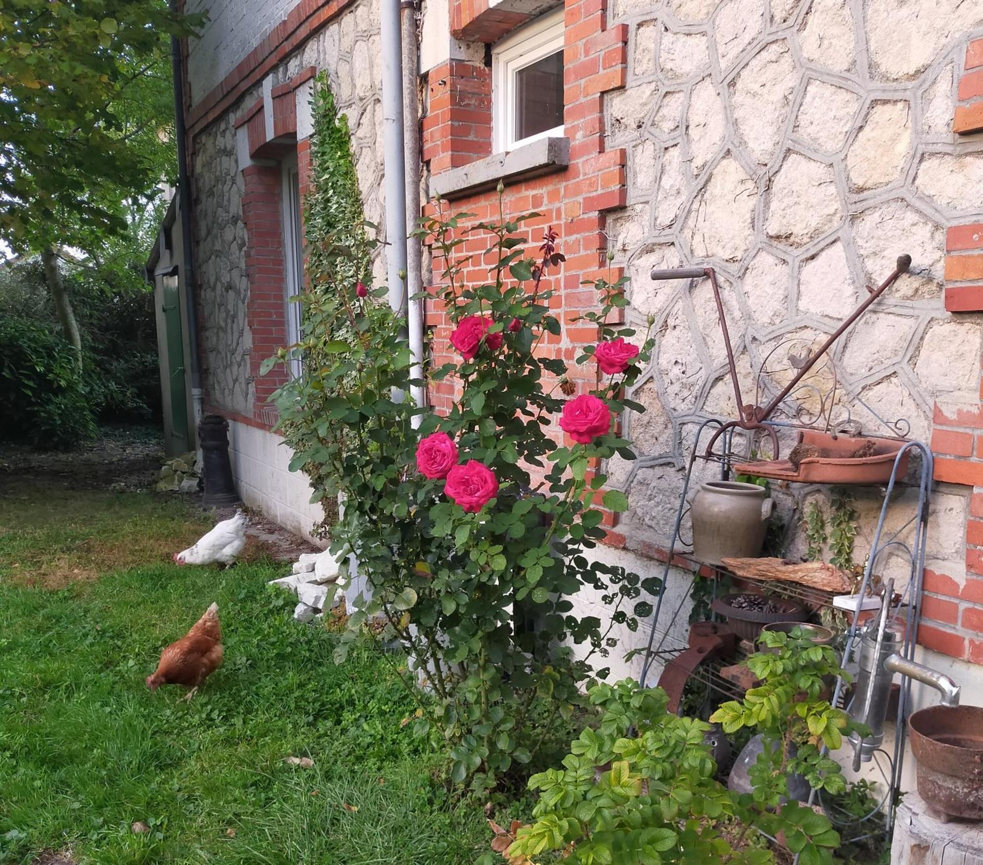 Ferienwohnung Logis51 Ville-sur-Tourbe Exterior foto